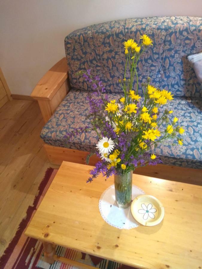 Cianbolpin Guesthouse Canazei Eksteriør billede