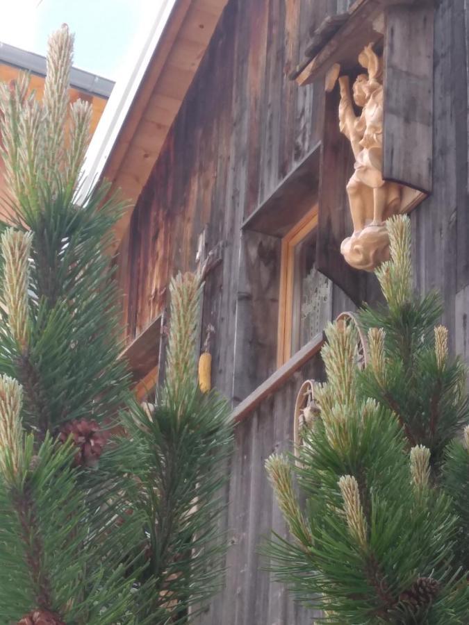 Cianbolpin Guesthouse Canazei Eksteriør billede