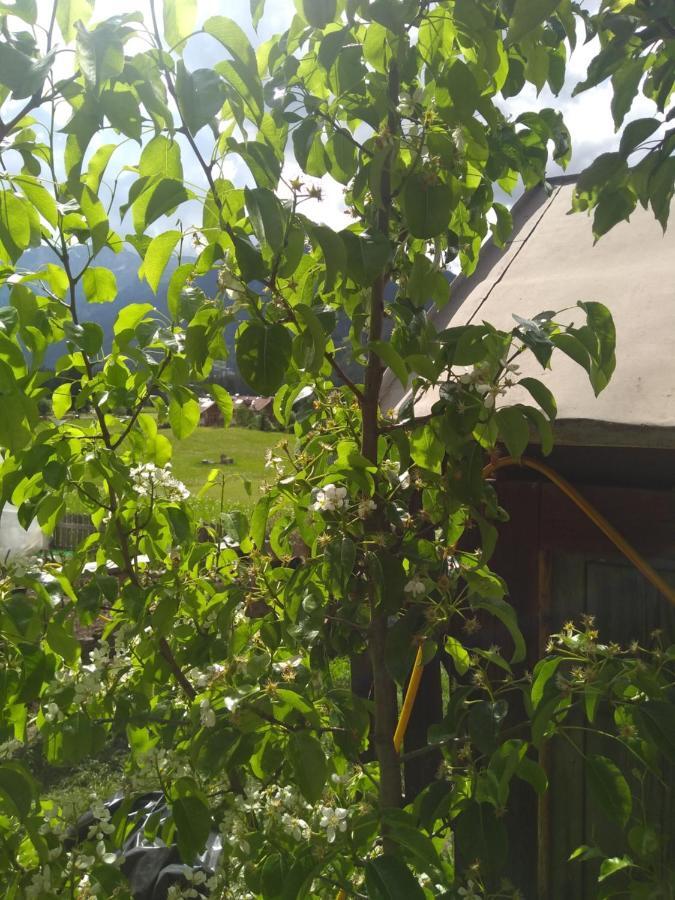 Cianbolpin Guesthouse Canazei Eksteriør billede